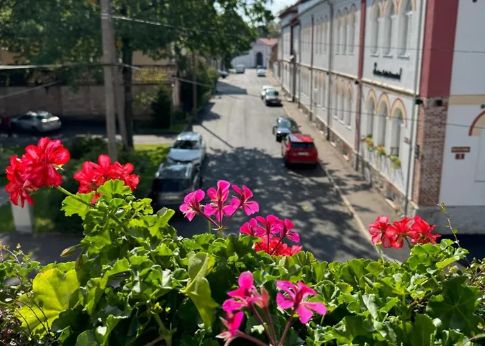 Apartamento õhtu Põik 4 Center *